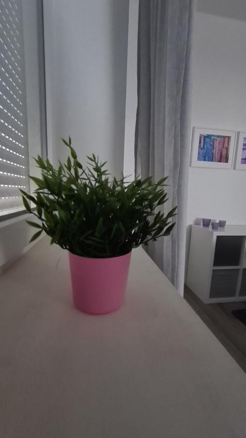 Appartement Lavendel, Ferienwohnung Mit Eigenem Eingang Wie Ein Kleines Haus Бад Залцуфлен Екстериор снимка